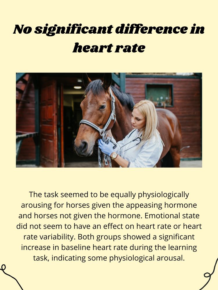 The task seemed to be equally physiologically arousing for horses given the appeasing hormone and horses not given the hormone. Emotional state did not seem to have an effect on heart rate or heart rate variability. Both groups showed a significant increase in baseline heart rate during the learning task, indicating some physiological arousal.