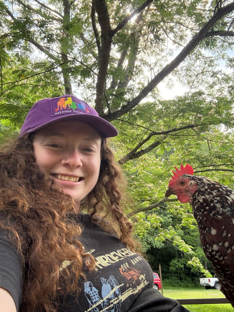 selfie of me with a chicken on my lap. I’m wearing a black band shirt (band = Third Eye Blind) and a purple hat that says “welcome diversity” with rainbow colored dog silhouettes.