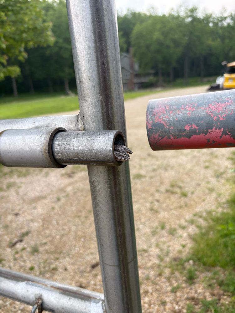 photo of a little frog booty sticking out of a hole in a fence gate 