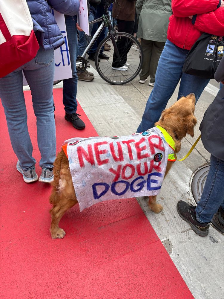 photo of a dog wearing a sign that says “neuter your doge”