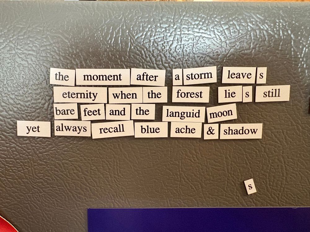 poem reads

“the moment after a storm leaves
eternity when the forest lies still
bare feet and the languid moon
yet always recall blue ache & shadow”
