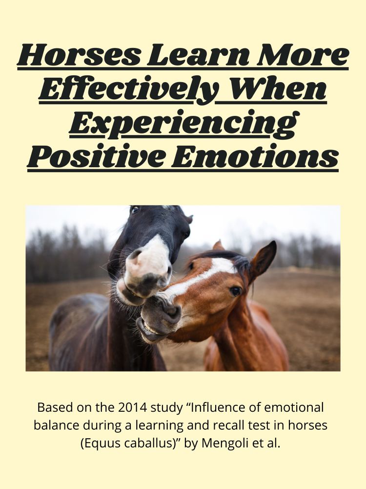 title of post: “Horses learn more effectively when experiencing positive emotions”