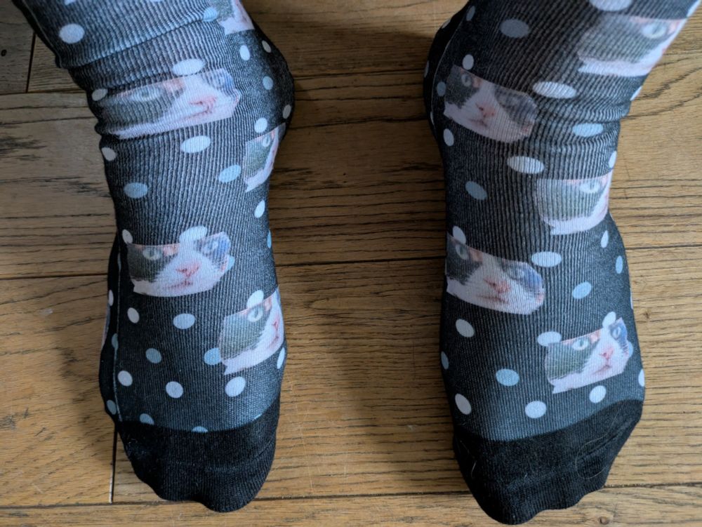 Socks with a cats face on them 