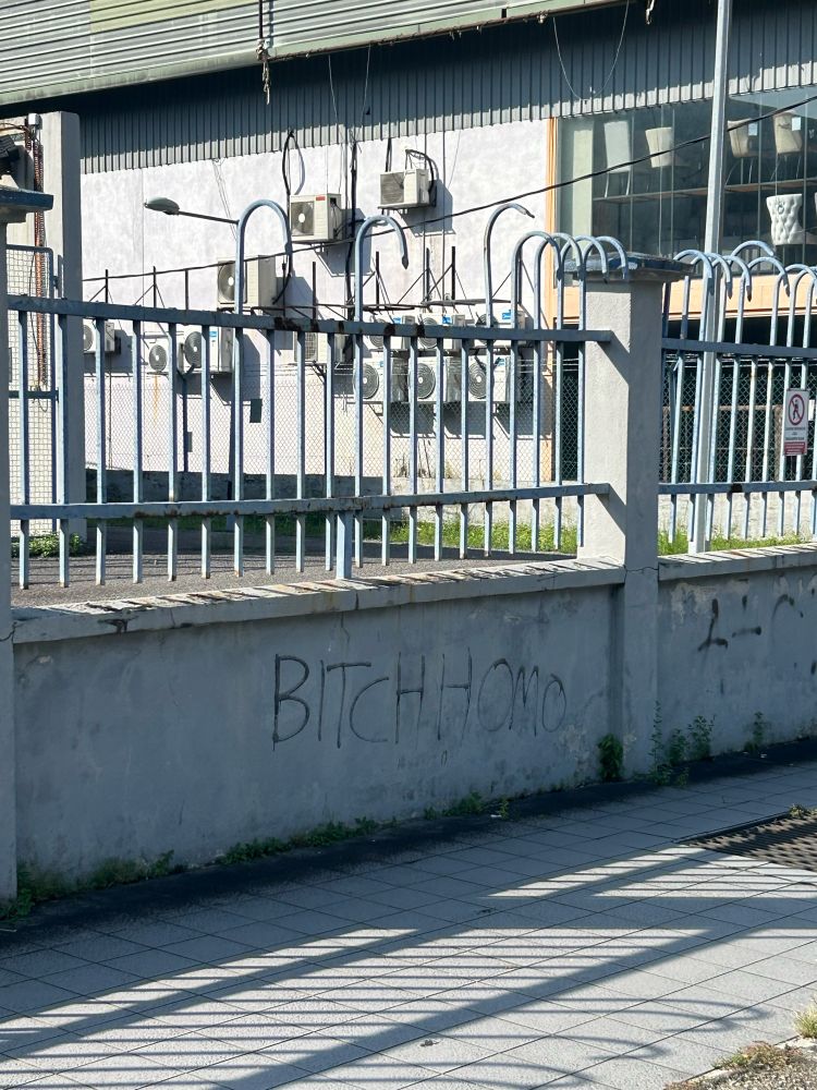 Graffiti reading "BITCH HOMO"