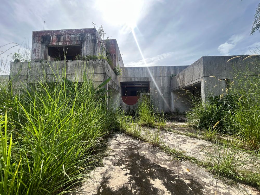 Abandoned house covered in vegetation, concrete and lots of right angles