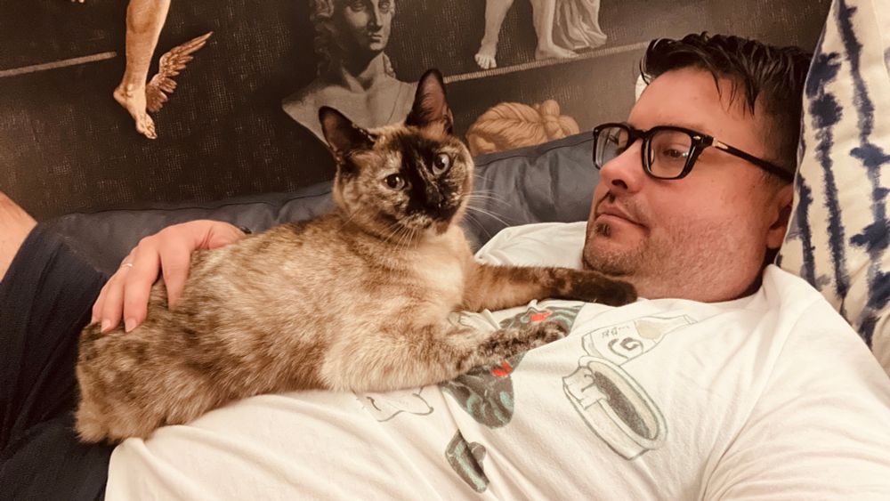 Laying down with my tortie Siamese cat on my chest