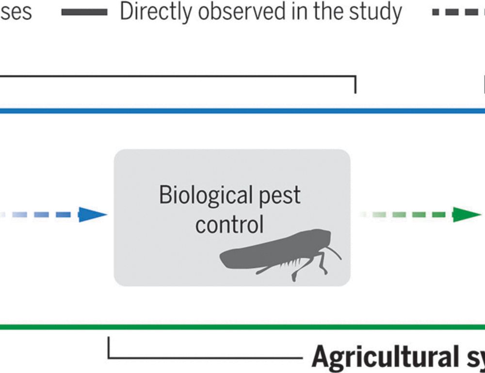 The economic impacts of ecosystem disruptions: Costs from substituting biological pest control