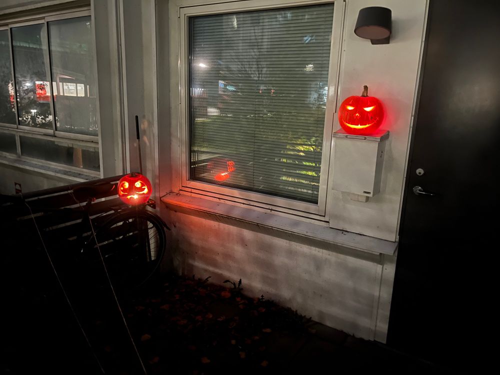 Photo of two Jack o’lanterns outside Bees apartment