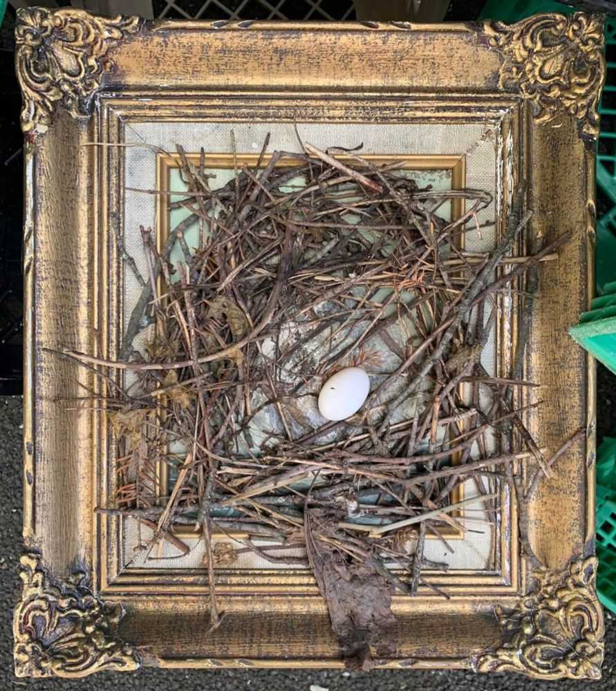 a framed painting with a pigeons nest built on top of it and holding an egg 