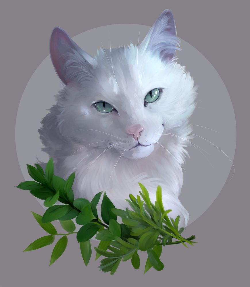 Portrait of a white cat with light green eyes and long fur