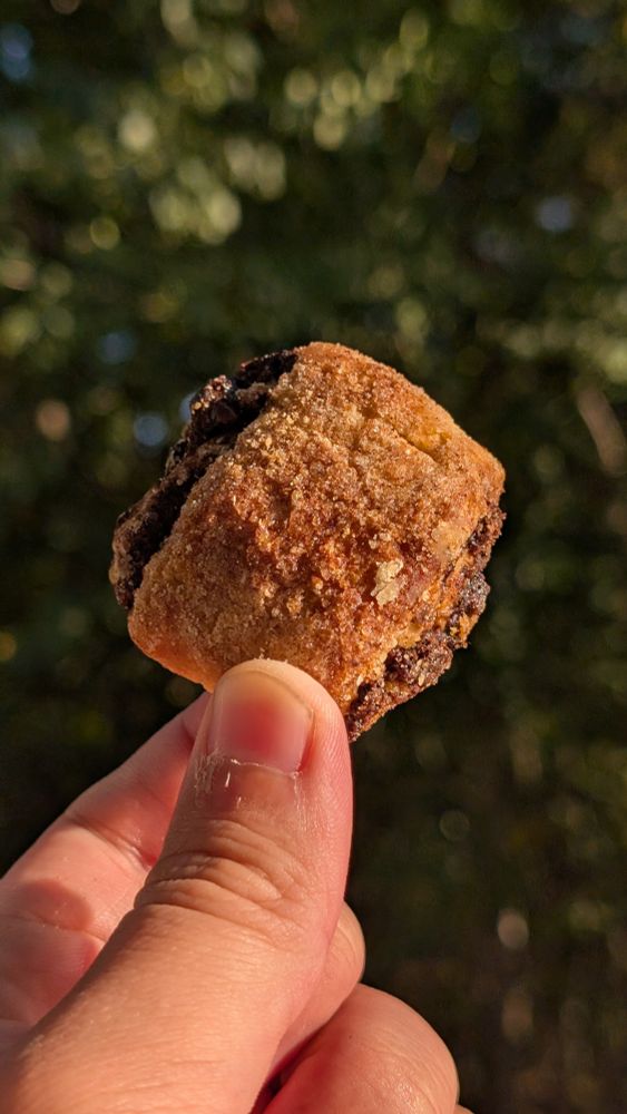 SUN KISSED RUGGELACH IN NATURE!!!!!