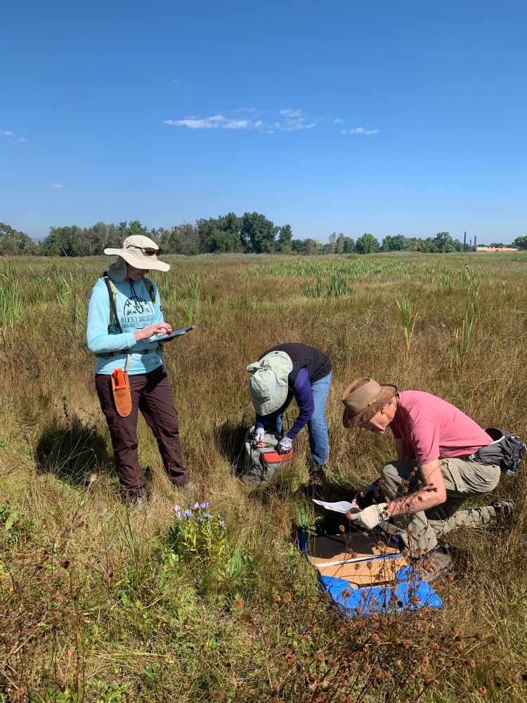 Dr Ackerfield on left standing in front of closed bottle gentian (blue)