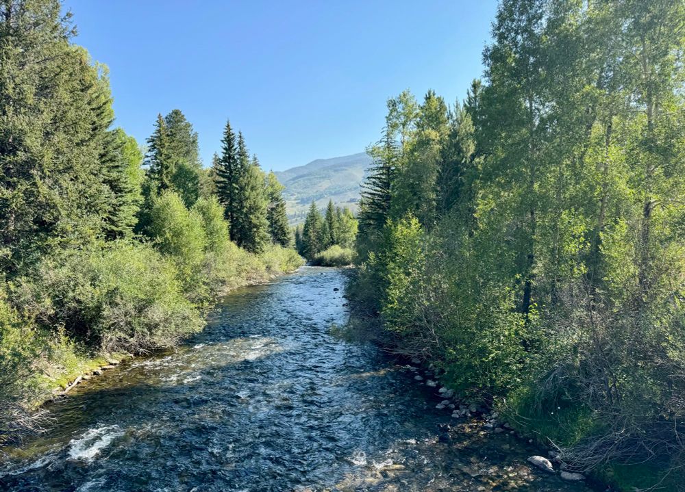 A small tree-lined river under a blue sky 