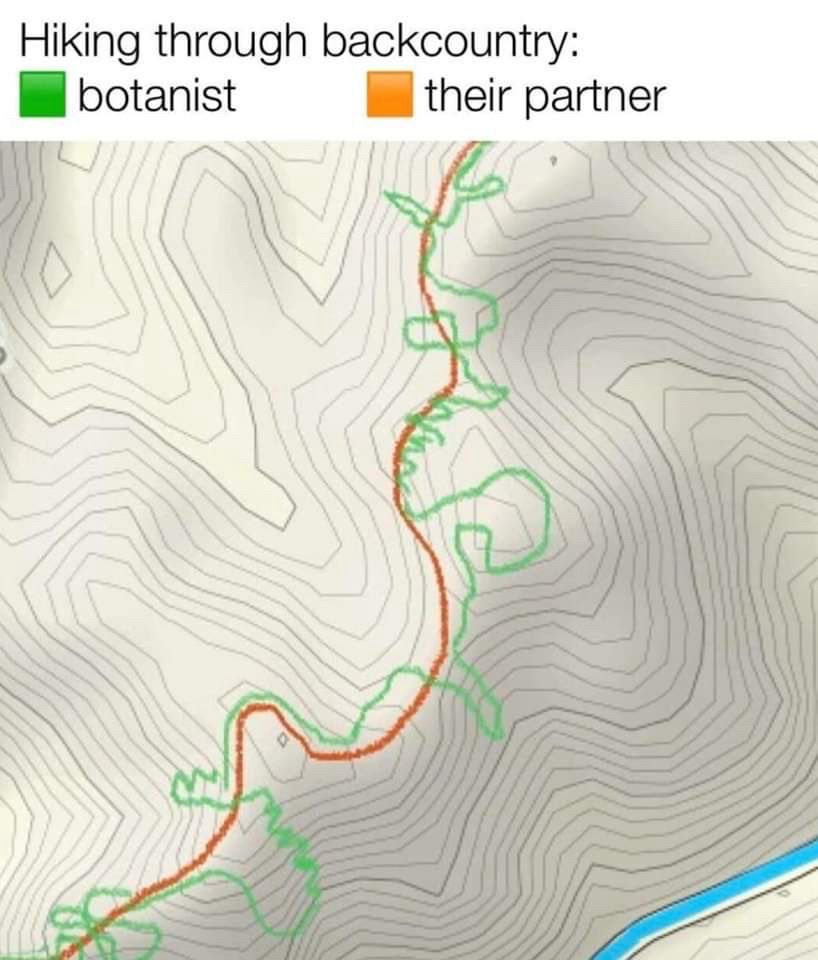 The botanist’s path vs a sensible person