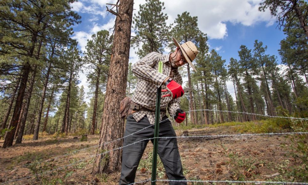 Locals remove fencing erected by group claiming 1,400 acres of U.S. Forest Service land in southwestern Colorado