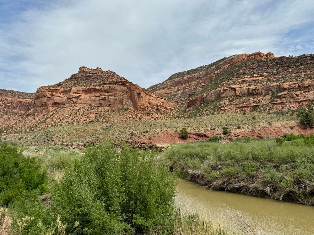 Brown River in a wide desert canyon 
