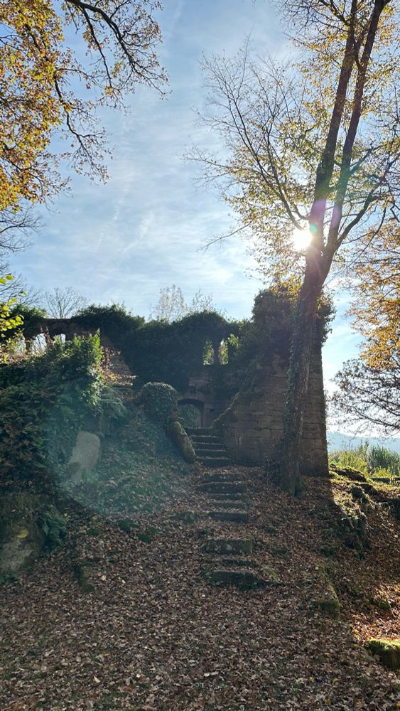 Burg Eberbach im Sonnenlicht