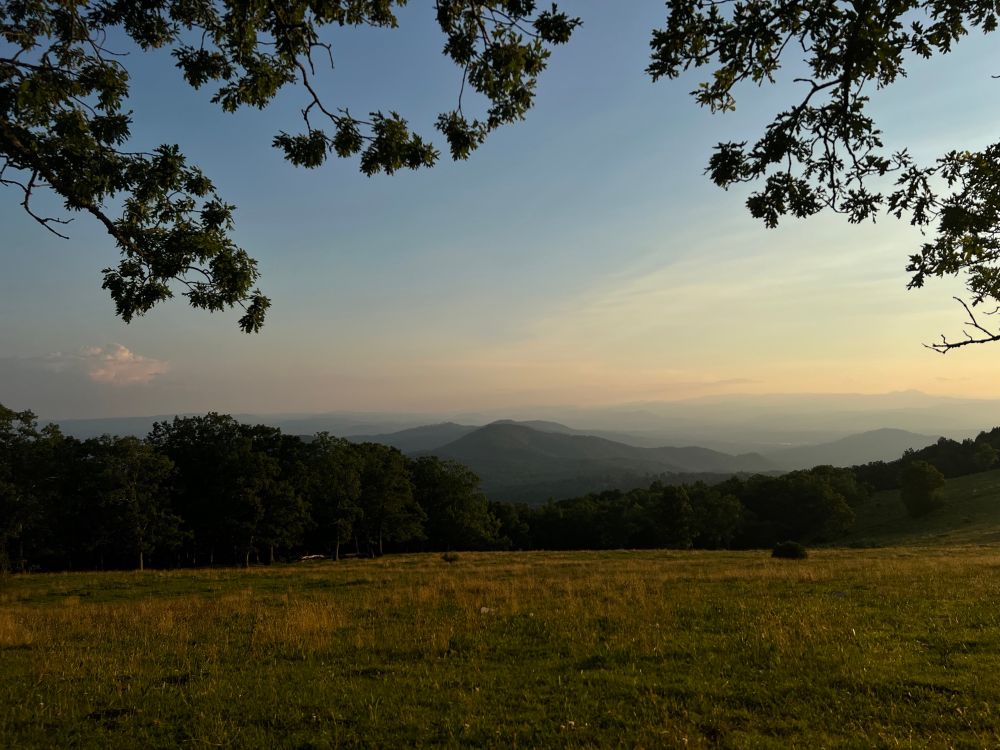 A hillside at sunset with a mountain view