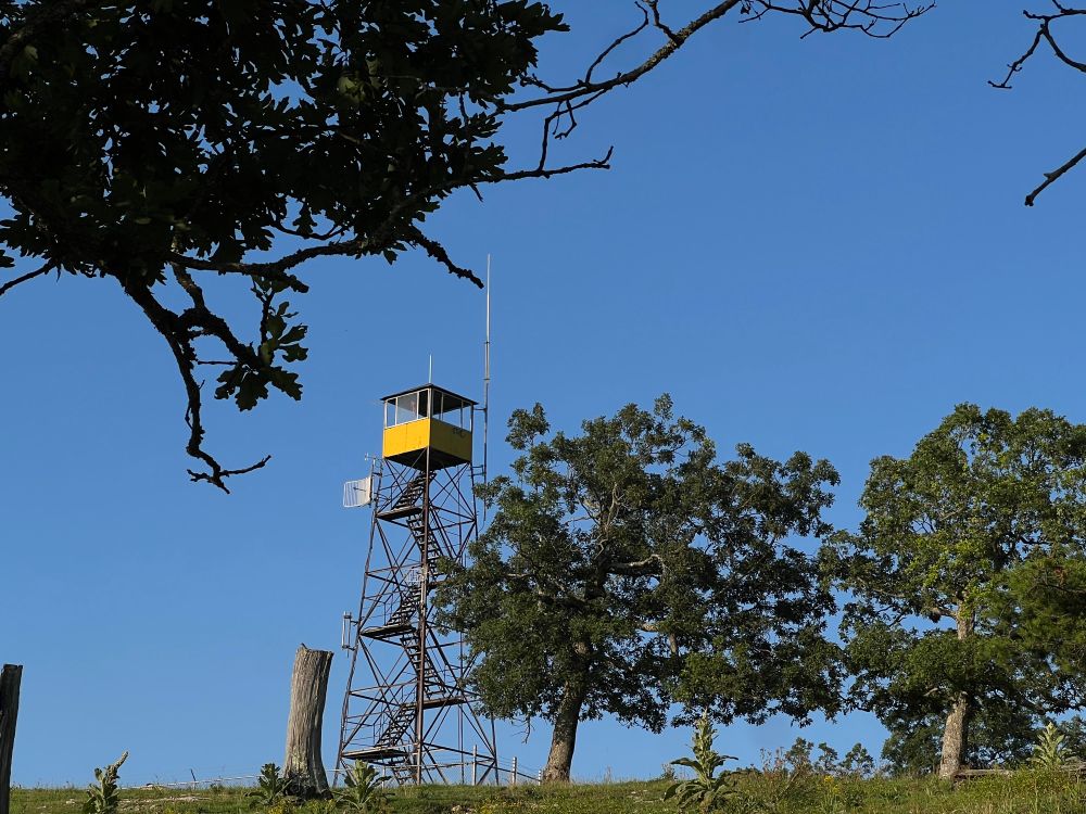 There is a fire watch tower in the distance on the top of a mountain. It is golden hour in the summer. There are several trees with dark green leaves.