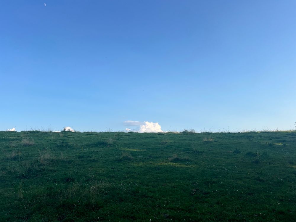 The lower half of this photo is a green, grassy hillside and the upper half is a blue sky. There are some clouds peeping over the top of the hillside. 