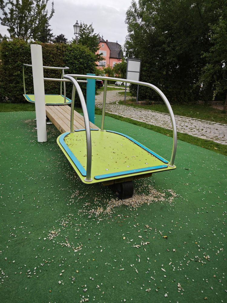 Eine Wippe mit zwei gegenüberstehenden Plattformen für Rollstühle mit einer umlaufenden Stange zum Festhalten. Zwischen Boden und Plattform ist allerdings ein Abstand von mindestens 20 cm.