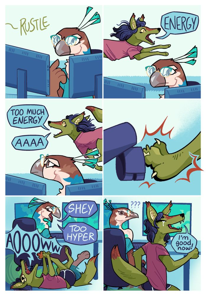 Panel 1: Peahen is sitting at her computer, lost in thought. There is a rustle from outside the frame.

Panel 2: Sheyote sprints into the room, quadrapedal exclaiming "energy". Peahen tries to focus on what she's doing.

Panel 3: Sheyote sprints back the opposite way, saying "too much energy" and "aaaa". Peahen looks back, worried.

Panel 4: A close-up shot of Sheyote stubbing her paw on a leg of Peahen's computer chair.

Panel 5: Sheyote is laid out on the floor, yelling "aoooww" in pain and holding her red paw. Peahen says "Shey, too hyper".

Panel 6: Sheyote stands up, back to her anthro self, saying "I'm good now" while a tear streams down her cheek. Peahen looks at her, stunned into a realistic anatomical style.