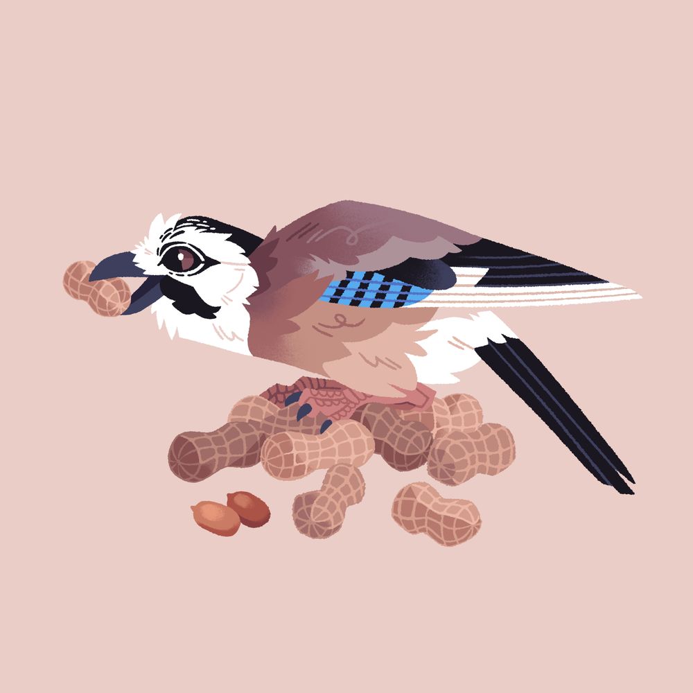 A painting of a Eurasian jay standing on a pile of peanuts, and holding one in its beak.