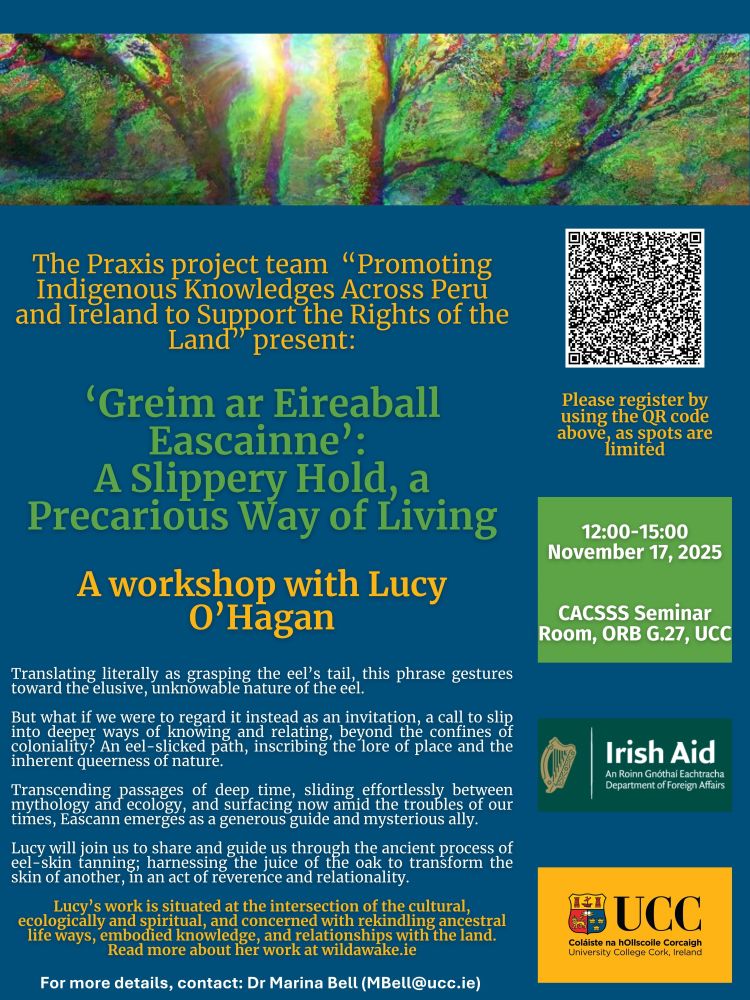 Poster of Praxis workshop at UCC