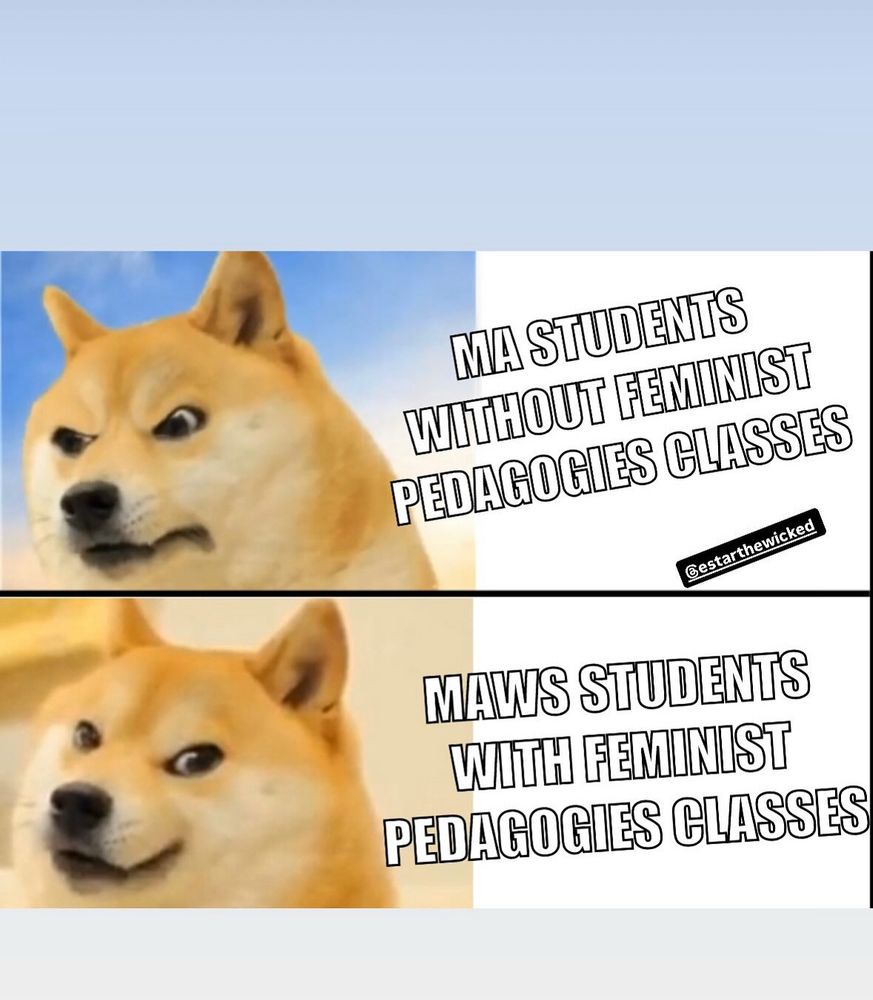 Doge meme on feminist pedagogies
