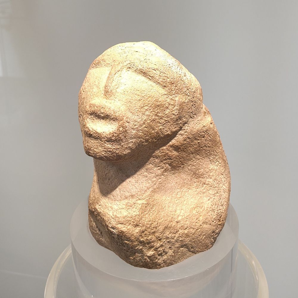 Head and neck with recognisable eyes nose and mouth 