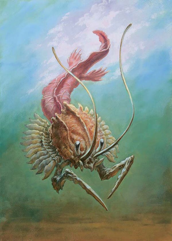 camarid token art from mtgo