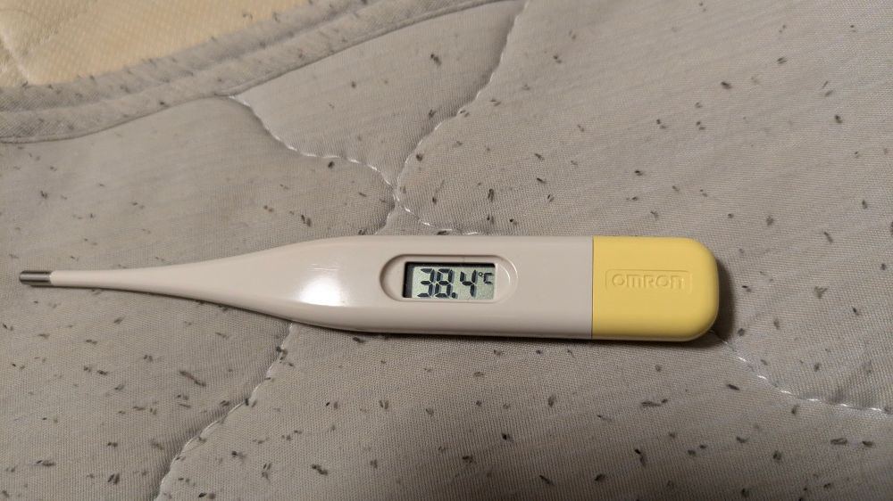 土曜日に測った時、久しぶりに38.4度とかいう数字が出てびっくり。セキは出てなかったからそんなに体調苦しいとかはなかったけど、発汗すごかった