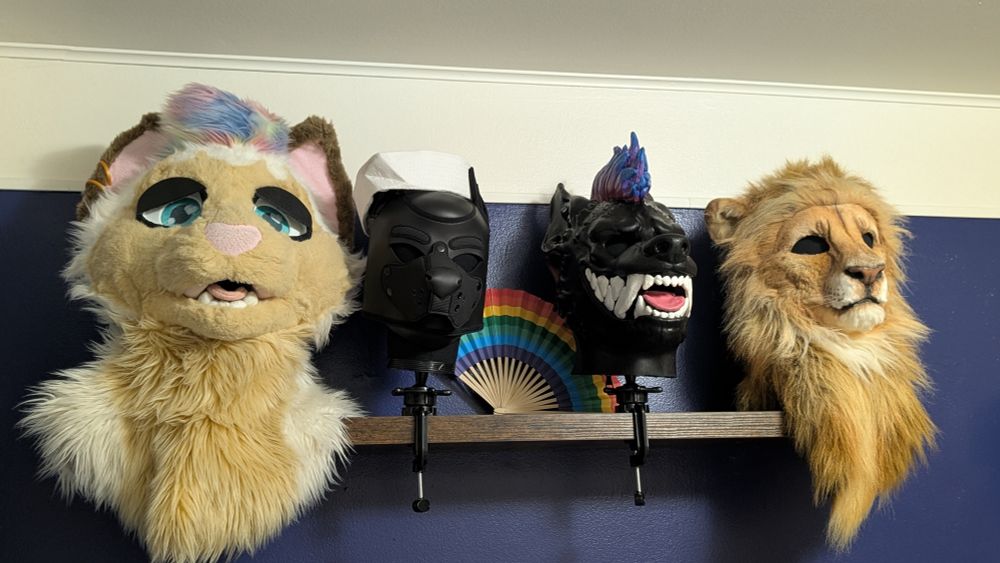 a gear rack with mannequin heads. from left to right: my fursuit Sprinkles, Keirish's black pup hood, his Snapjaw hood, and his lion hood