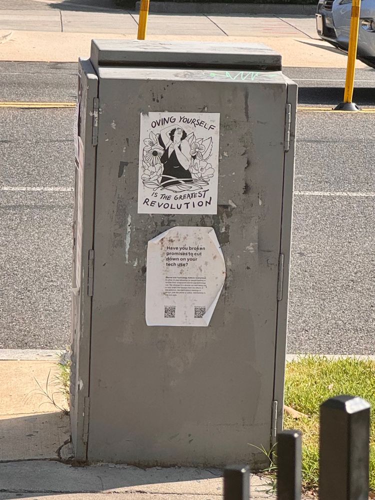 a poster reading "loving yourself is the greatest revolution" on the side of an electrical box