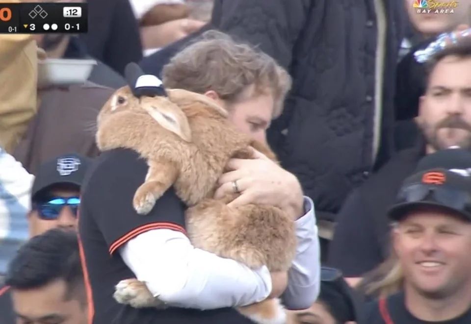 same bunny, now tossed over the man's shoulder. the bunny is the size of an overnight bag