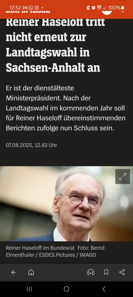 Screenshot von Spiegel Online: Reiner Haselofg tritt nicht erneut zur Wahl an 