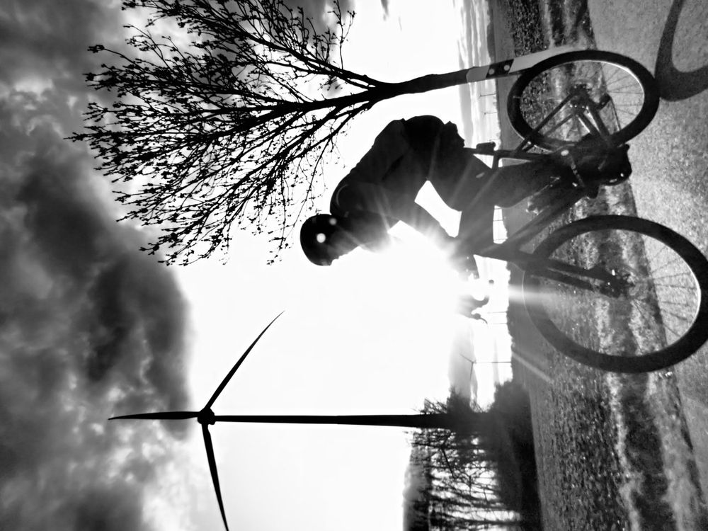 Windkraftanlage, Radfahrer und Baum im Gegenlicht, die Sonne überstrahlt einen Arm des Radfahrers
