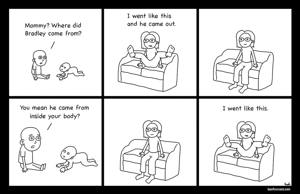 Comic:

First panel: little boy asks his mother where his little brother came from.
Second panel: his mom, sitting on the couch, puts her legs up in invisible stirrups and says, “I went like this and he came out.”
Third panel: mom puts her legs back down.
Fourth panel: little boy asks for clarification. “You mean he came from INSIDE your body?”
Fifth panel: mom thinks about her answer.
Sixth panel: mom puts her legs back up and repeats, “I went like this.”