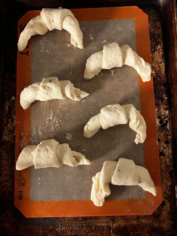 Six croissants rolled up - some of the curves and points are better than others. They're sitting on an orange bordered silpat on a baking sheet.