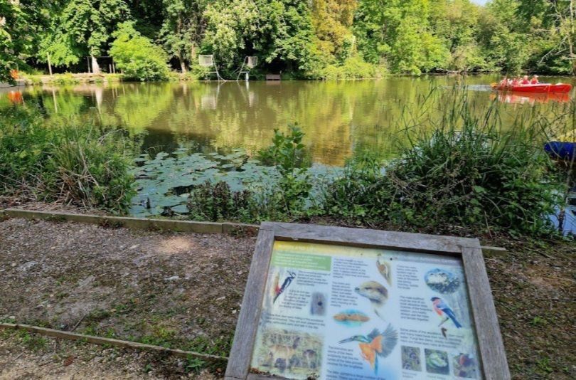 Image of lake surrounded by trees and a sign with images and text of wildlife including birds and otters. On the lake is a red kayak with people inside it. 