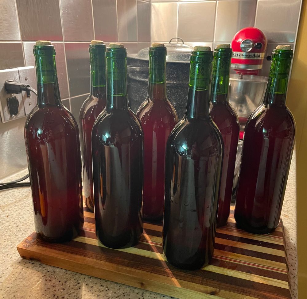Seven bottles of wine that I made from catawba grapes grown in my yard.