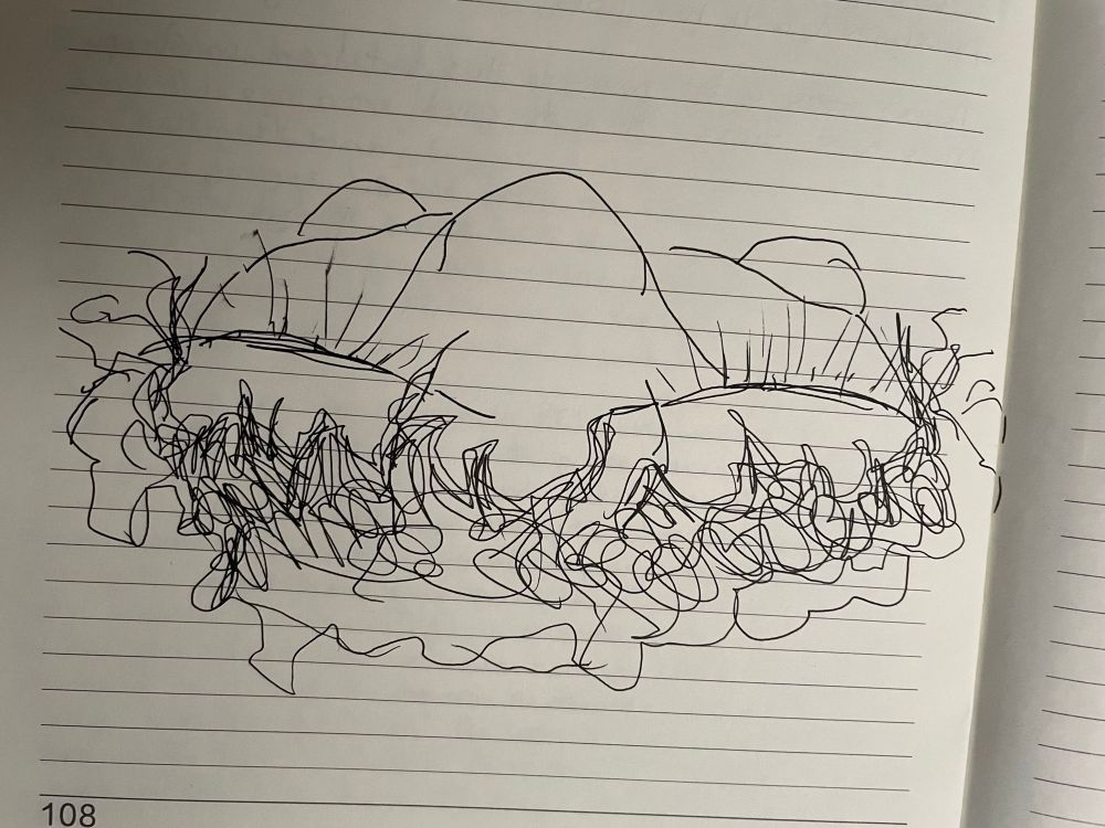 A black line drawing on lined paper (my journal) of everything you can see of yourself from your own standing perspective. Lower eyelids, shape of nose taking up most of your visual space, some hair around you, and blurry lumps below. Like I think I sometimes think of myself like this?