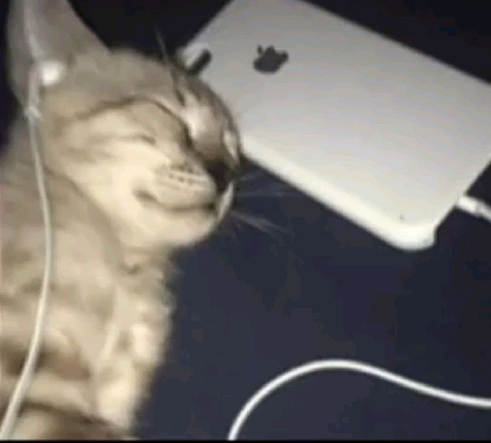 um gatinho com fones de ouvido deitado com os olhinhos fechados 