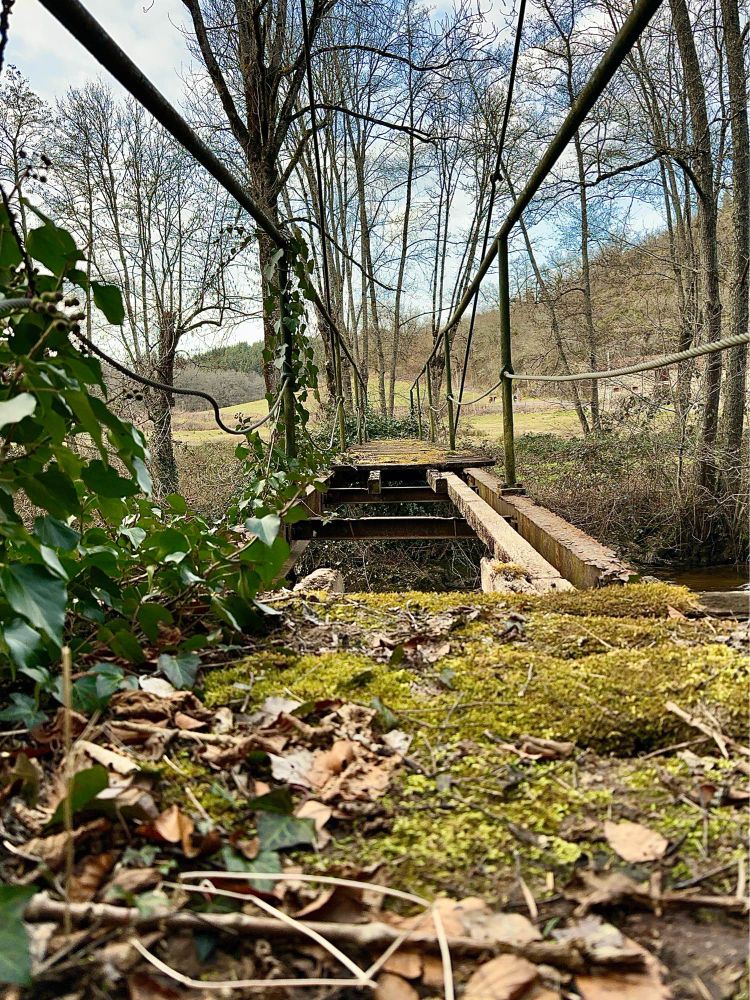 Un pont abîmé, inutilisable et recouvert de végétation.