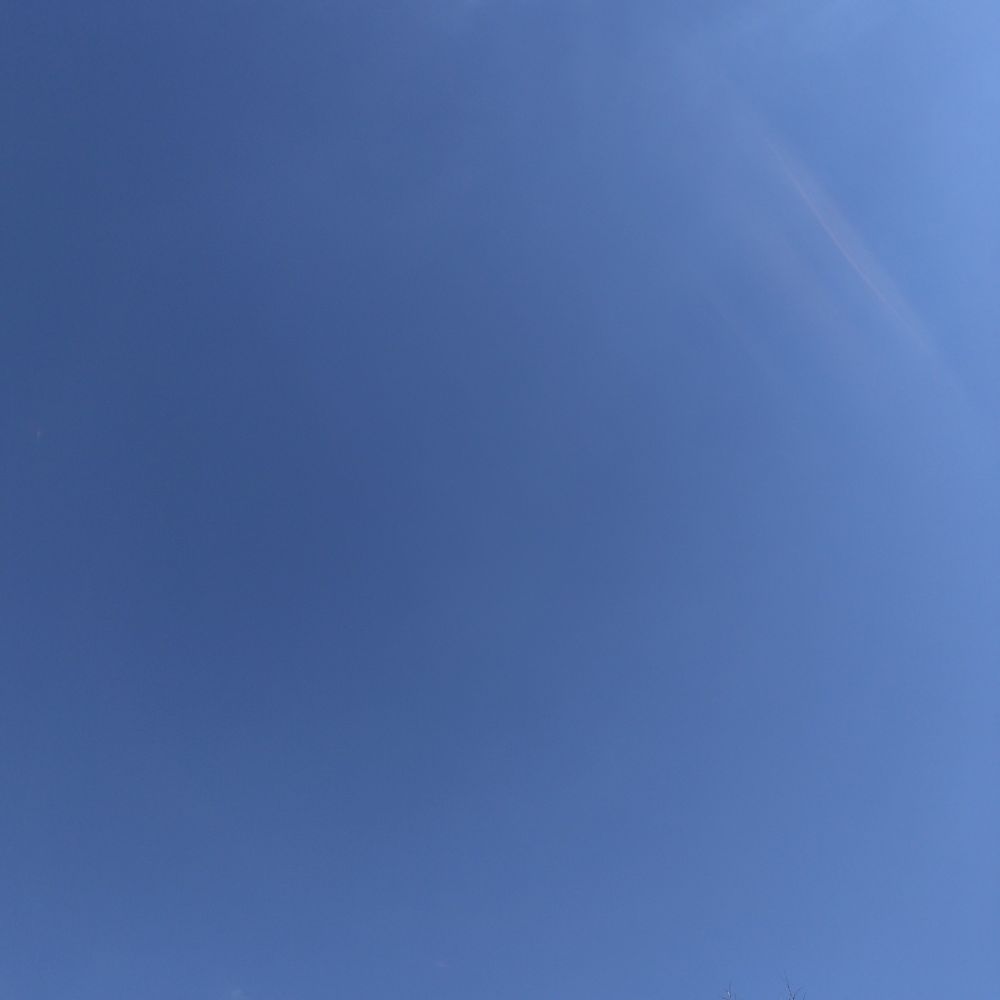 青い空