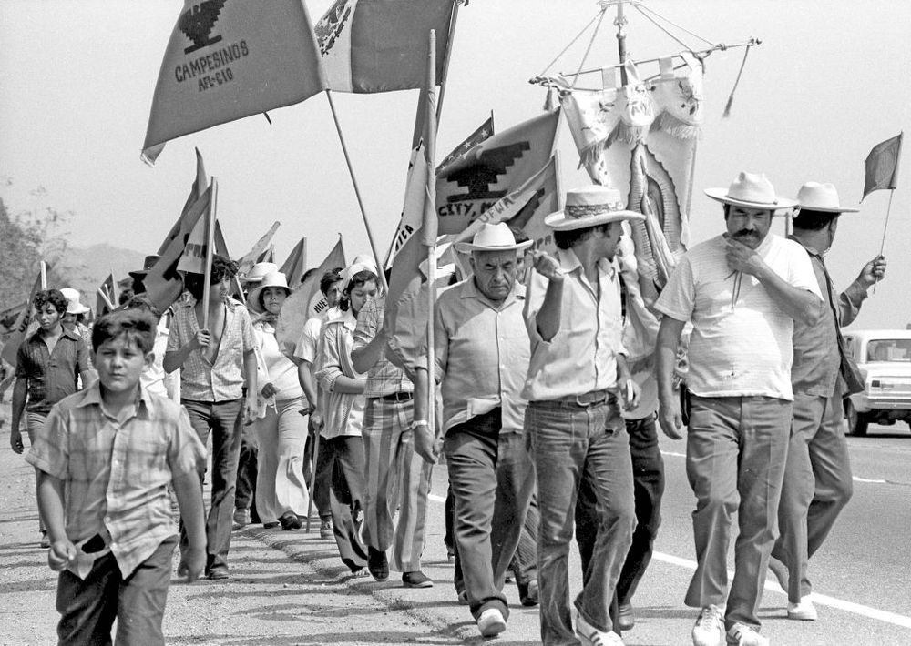 Protesters and supporters march during the United Farm Workers’ 1,000 Mile March in California, summer 1975. (Cathy Murphy / Getty Images)