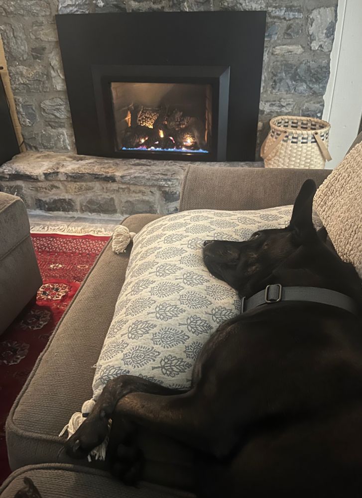 Dog laying on the couch with a pillow under his head. There is a warm, cozy fire in the background 