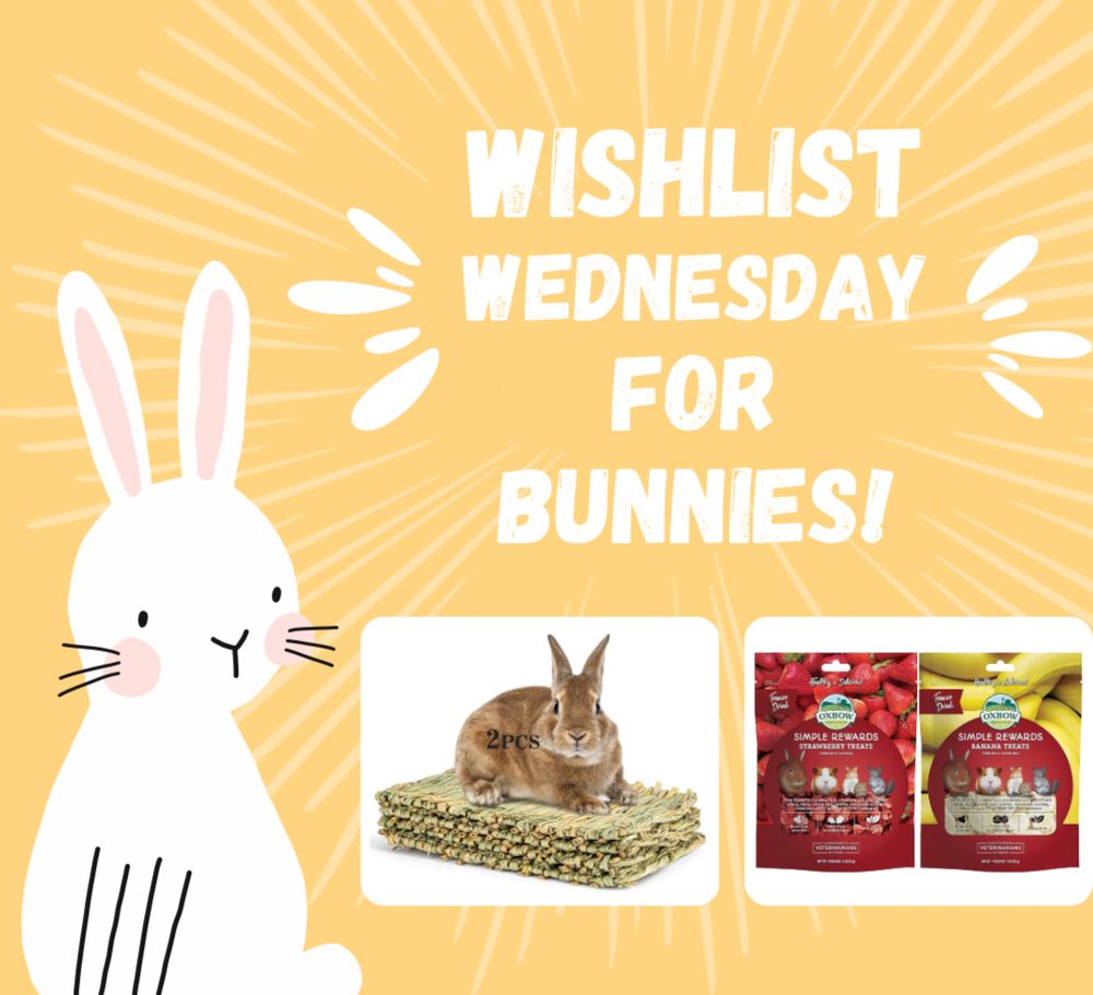 Cheerful yellow graphic of a white rabbit sitting up next to images of grass mats and bunny treats. Text next to it reads "Wishlist Wednesday for bunnies".