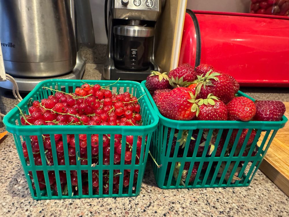 A basket of red currents along a basket of strawberries, in front of our red bread box, on our kitchen counter. (The theme is red, I guess.) Also pictured our coffee maker & coffee grinder. 