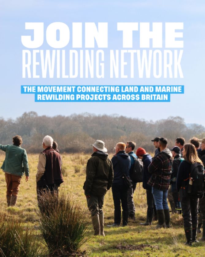 Photo of a group of people on a tour of Wild Woodbury, a Dorset Wildlife Trust rewilding site. Text on the image reads: 'Join the Rewilding Network. The movement connecting land and marine rewilding projects across Britain'. Photo credit: Ruby Batt